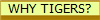 WHY TIGERS?